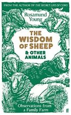 Wisdom sheep animals... for sale  UK
