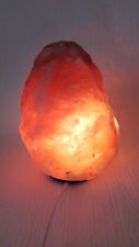 Salzkristall stein lampe gebraucht kaufen  Giesen