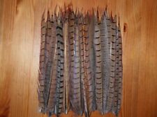 pheasant tail feathers for sale  ABERDEEN