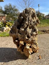 Texas natural holey for sale  Austin