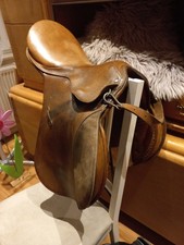 pferdeanhanger sattelkammer gebraucht kaufen pferdeanhanger sattelkammer gebraucht kaufen Neustadt