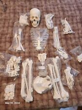 Houseables disarticulated huma for sale  Shipping to Ireland