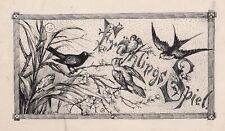 1890 vögel frühling gebraucht kaufen  Seubersdorf