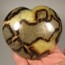 3.8 septarian heart for sale  Acworth