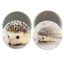 hedgehog refrigerator magnet for sale  Bethlehem