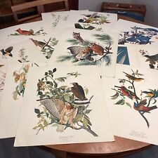 audubon prints for sale  Mountain Home