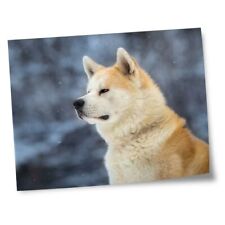 8x10 prints akita for sale  SELBY