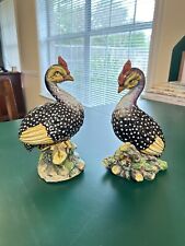 Guinea fowl pair for sale  Breckenridge