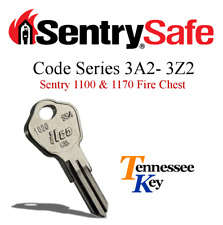 Sentry safe fire for sale  Clarksville