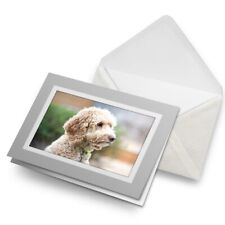 Greetings card labradoodle for sale  SELBY