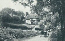 Studland cottages purbeck for sale  LLANELLI