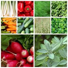 Herb vegetable seeds for sale  SELBY