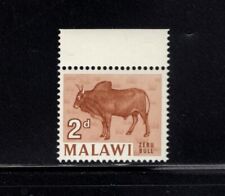 Malawi 1964 zebu for sale  USA