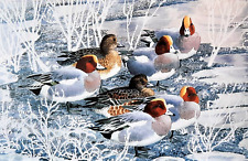 Wigeon cold frosty for sale  NELSON