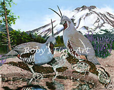Mountain quail art for sale  Redding