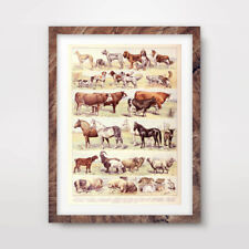 Vintage farm animals for sale  Shipping to Ireland