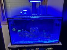 Used, Innovative Marine ® Nuvo Fusion PRO 2 - 20 Gallon Aquarium / Skimmer And All for sale  Fort Dodge