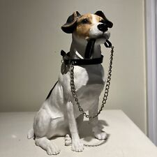 Large jack russell for sale  BIRMINGHAM