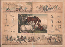 1860 lithographie cheval d'occasion  Besançon