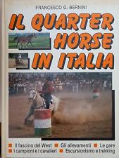 Quarter horse italia usato  Brugherio