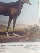 Lexington horse lithograph for sale  Chatfield