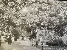 1913 postcard endcliffe for sale  SIDMOUTH