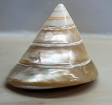Antique mother pearl for sale  NELSON