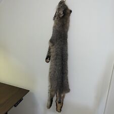 Bobcat pelt feet for sale  Hillsboro