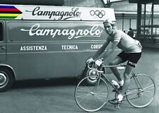 Eddy merckx campagnolo d'occasion  Argelès-sur-Mer