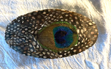 Vintage peacock feather for sale  Sellersville