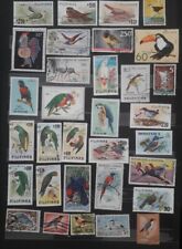 Collections oiseaux d'occasion  Vannes