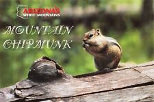 Mountain chipmunk arizona for sale  Bella Vista