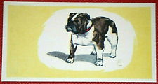 Bulldog vintage 1958 for sale  DERBY