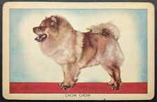 Chow chow 1950 for sale  Reading