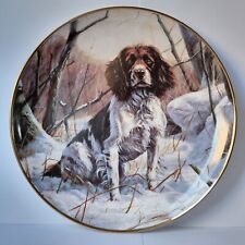 Winter companion springer for sale  LETCHWORTH GARDEN CITY