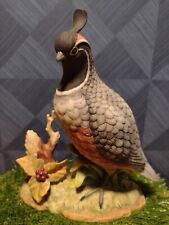 California quail stefani for sale  Sherman