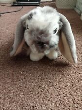 Cuddly rabbit soft for sale  KINGSWINFORD