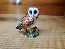 Barn owl bird for sale  Gaylord