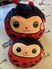 Ladybird squishy teddy for sale  ACCRINGTON