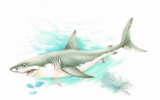 Weißer hai makrelenhaie gebraucht kaufen  Berlin