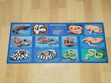 Professional snake breeders for sale  Oakland