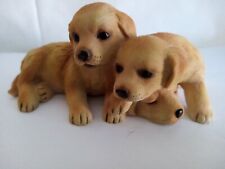 Labrador puppies dogs for sale  BEVERLEY