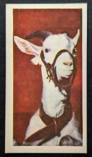 Goat 1961 doctor for sale  Reading