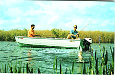 Postcard Bass Fishing Jumping Fishing Fishermen Boat Motor Sportsmen Poles for sale  Shipping to South Africa