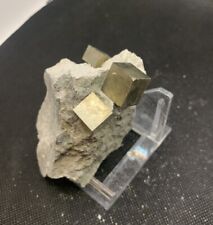 Minerali pirite navajun usato  Monte San Pietro