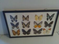 Collection decorative butterfl for sale  Shipping to Ireland