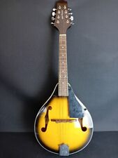 Gear music mandolin for sale  HULL