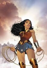 Wonder woman vol for sale  USA