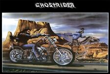 Ghostrider david mann for sale  Glendale