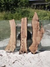 Tavole legno ulivo usato  Padula
